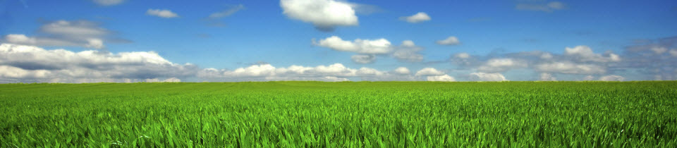 image0 (9K)